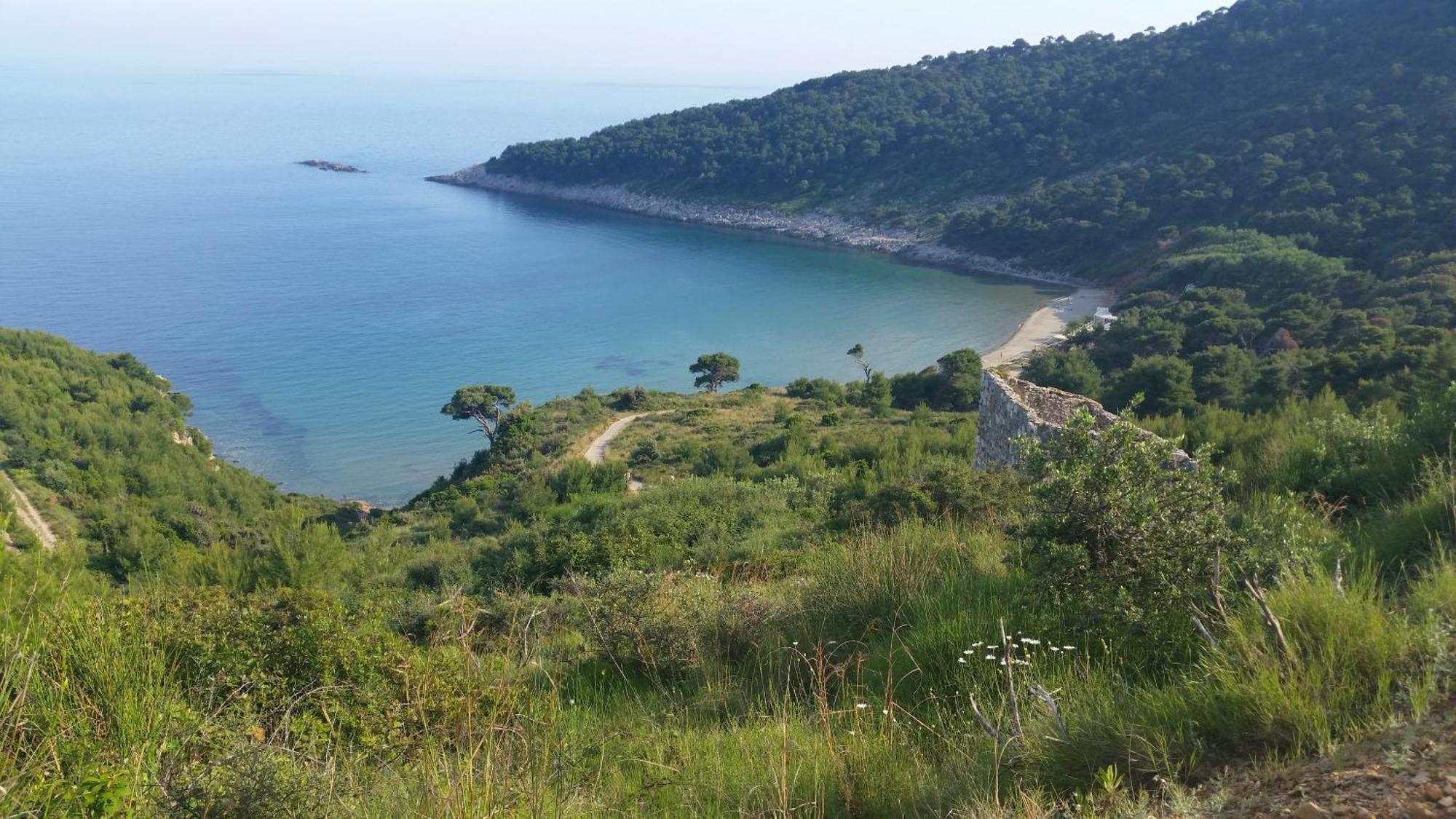 Guesthouse Storelli Lopud Kültér fotó